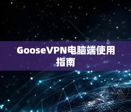 GooseVPN电脑端使用指南
