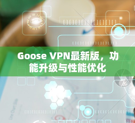 Goose VPN最新版,功能升级与性能优化 Goose VPN最新版,功能升级与性能优化