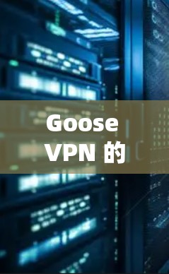 Goose VPN 的主要功能 Goose VPN 的主要功能