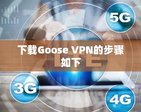 下载Goose VPN的步骤如下