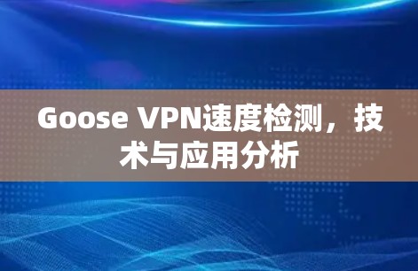 Goose VPN速度检测，技术与应用分析