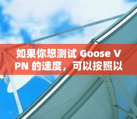 如果你想测试 Goose VPN 的速度，可以按照以下步骤进行