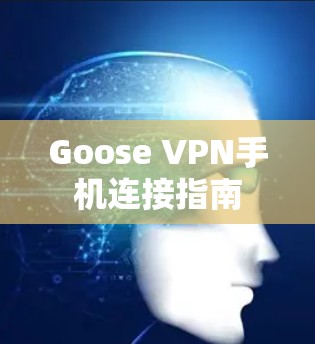 Goose VPN手机连接指南