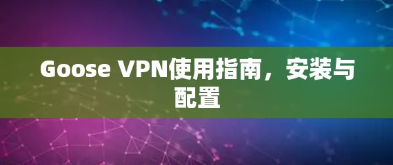 Goose VPN使用指南,安装与配置 Goose VPN使用指南,安装与配置