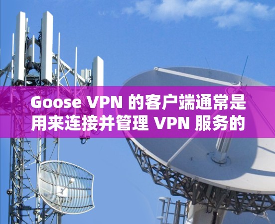 Goose VPN 的客户端通常是用来连接并管理 VPN 服务的。以下是使用 Goose VPN 客户端的一些常见步骤和注意事项