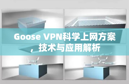 Goose VPN科学上网方案,技术与应用解析 Goose VPN科学上网方案,技术与应用解析