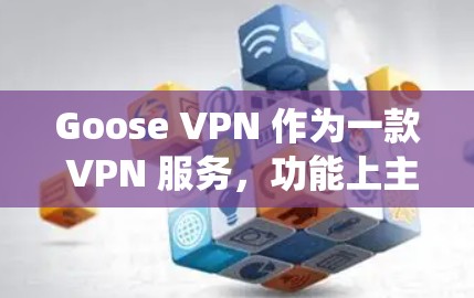 Goose VPN 作为一款 VPN 服务，功能上主要提供保护用户隐私、匿名上网、绕过地理限制等功能。以下是 Goose VPN 的一些主要功能评测