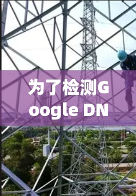 为了检测Google DNS的解析情况，可以按照以下步骤进行检查