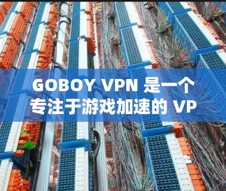GOBOY VPN 是一个专注于游戏加速的 VPN 服务,特别注重提供低延迟的节点,能够帮助用户在游戏中享受更流畅的体验。以下是关于 GOBOY VPN 的一些关键信息和优势 GOBOY VPN 是一个专注于游戏加速的 VPN 服务,特别注重提供低延迟的节点,能够帮助用户在游戏中享受更流畅的体验。以下是关于 GOBOY VPN 的一些关键信息和优势