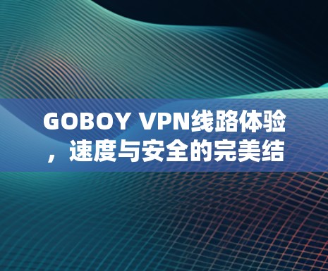 GOBOY VPN线路体验，速度与安全的完美结合