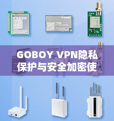 GOBOY VPN隐私保护与安全加密使用教程