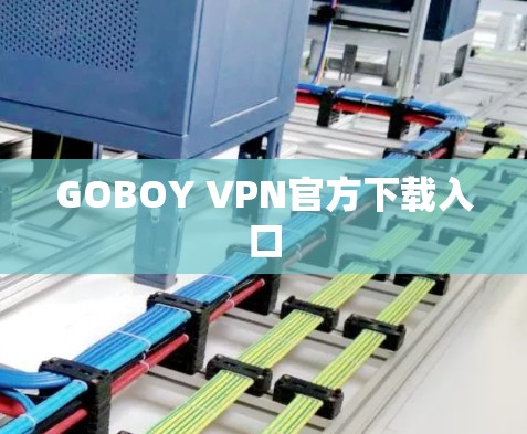 GOBOY VPN官方下载入口