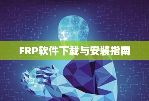 FRP软件下载与安装指南 FRP软件下载与安装指南