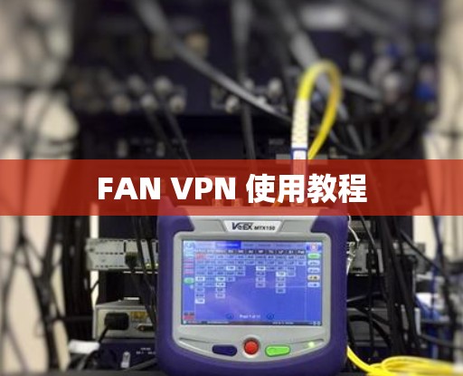 FAN VPN 使用教程