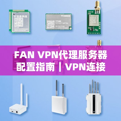 FAN VPN代理服务器配置指南｜VPN连接详细步骤