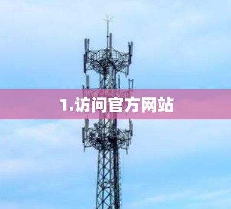 1.访问官方网站 1.访问官方网站
