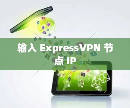 输入 ExpressVPN 节点 IP