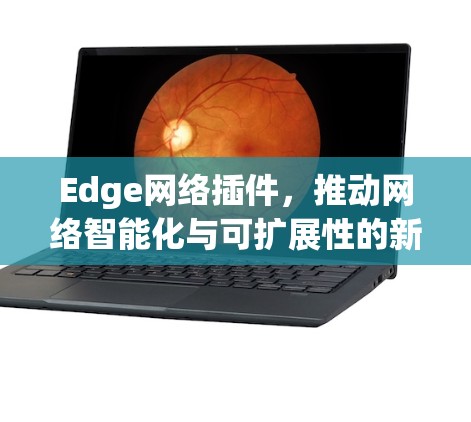 Edge网络插件，推动网络智能化与可扩展性的新趋势