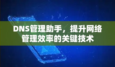 DNS管理助手，提升网络管理效率的关键技术