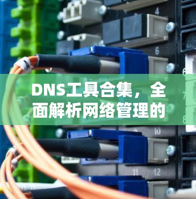 DNS工具合集，全面解析网络管理的利器