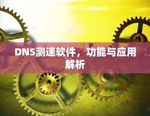 DNS测速软件，功能与应用解析