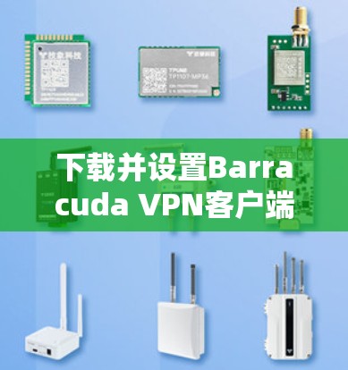 下载并设置Barracuda VPN客户端的步骤如下